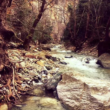 Lost Paradise *